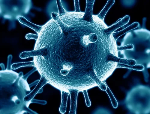 Le rôle du microbiome buccal dans les maladies parodontales : nouvelles perspectives